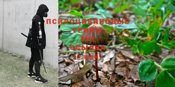 дурь Магадан