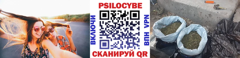 Галлюциногенные грибы прущие грибы  Павлово 